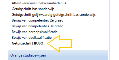 Attest verworven bekwaamheden IAC 
Getuigschrift basisonderwijs 
Getuigschrift gelijkwaardig getuigschrift basisonderwijs 
Bewijs van competenties 2e graad 
Bewijs van competenties 3e graad 
Bewijs van beroepskwalificatie 
Bewijs van deelkwalificatie 
Getuigschrift BUSO 
Overige studiebewijzen 